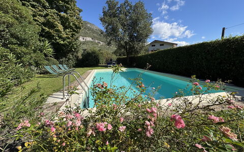 Allo Scoiattolo: Arbusto, Piscina, Giardino, Landscaping, Backyard, Cortile, Hacienda, Agriturismo, Eco Hotel