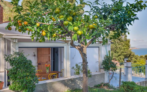 Casina Solu: Residential Area, House, Home, Roof, Estate, Cottage, Balcony, Suburb, Garden, Village