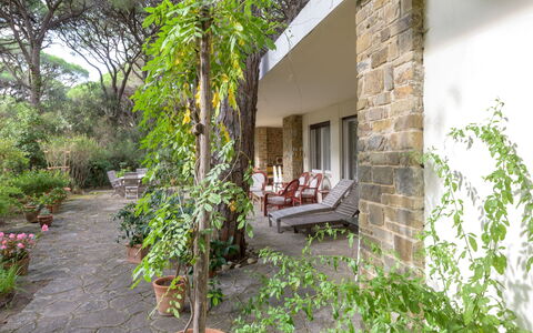 Roccamare Engel: Arbusto, Giardino, Groundcover, Shade, Brick, Backyard, Landscaping, Cortile, Flagstone, Pianta Della Casa