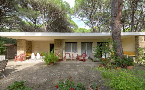 Roccamare Engel: Casa, Giardino, Villetta, Estate, Shade, Cortile, Landscaping, Backyard, Agriturismo, Edifici Giardino