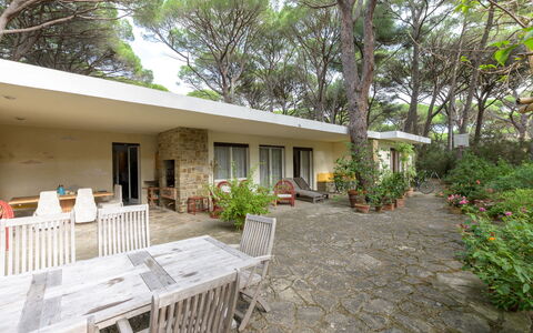 Roccamare Engel: Casa, Giardino, Villetta, Estate, Shade, Landscaping, Cortile, Backyard
