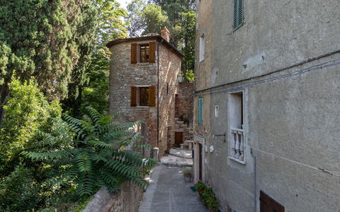 Torre di Serre: Parete, Brick