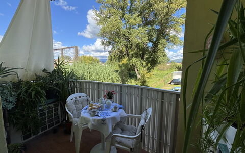 Liz: Mobilia, Sedia, Tavolo, Tavolo Esterno, Mobili Da Esterno, Cucina & Sala Da Pranzo Tavolo, Shade, Balcone, Pianta Della Casa, Backyard