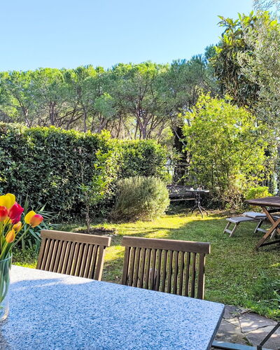 Steffi'S House: Leaf, Shrub, Garden, Furniture, Outdoor Furniture, Shade, Spring, Backyard, Landscaping, Lawn
