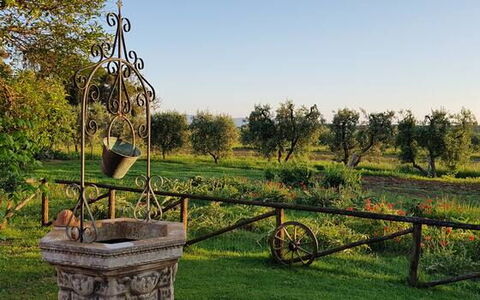 Appartamento Ibisco Seaside and Pool: Plain, Giardino, Parco, Prato, Cortile, Landscaping, Piantagione, Giardino Botanico, Azienda Agricola, Backyard