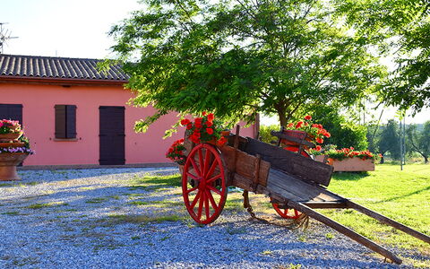 Appartamento Ibisco Seaside and Pool: Giardino, Landscaping, Cortile, Driveway, Vaso Di Fiori, Hacienda
