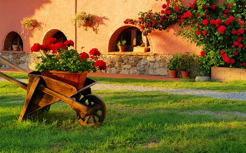 Suite Orchidea Seaside and Pool: Giardino, Landscaping, Cortile, Vaso Di Fiori, Backyard, Hacienda, Pianta Della Casa