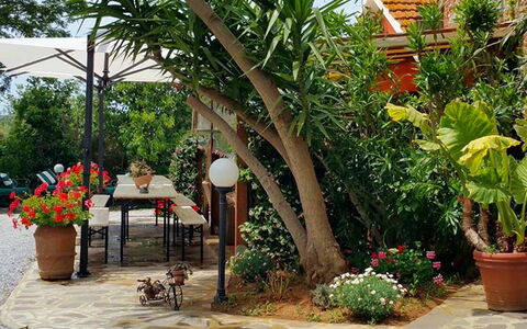 Appartamento Girasole Seaside and Pool: Verde, Vaso Di Fiori, Giardino, Mobilia, Shade, Mobili Da Esterno, Backyard, Pianta Della Casa, Sedia