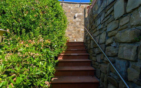 Montparnasse: Arbusto, Giardino, Brick, Landscaping, Passerella, Flagstone, Hedge, Cobblestone