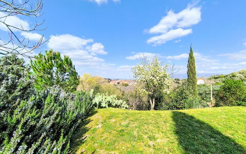 Il Palazzo: Blu, Verde, Foglia, Vegetazione, Arbusto, Groundcover, Giardino, Prato, Prato, Landscaping