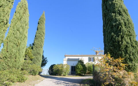 Il Palazzo: Giorno, Albero, Costruzione, Appartamento, Zona Residenziale, Città, Quartiere, Condominio, Urban Design, Insediamento Umano