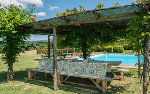 Martini: Shade, Giardino, Struttura Esterna, Pergola, Piscina, Landscaping, Backyard, Eco Hotel, Cortile, Ricorrere