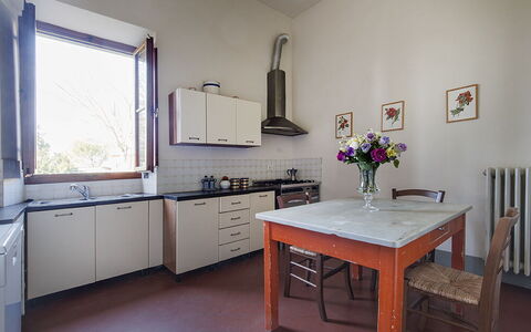 Martini: Pavimentazione, Cucina, Interior Design, Elettrodomestico Da Cucina, Mobilia, Controsoffitto, Cabinetry, Casa, Pavimento, Apparecchio Major