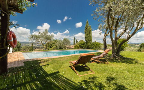 Molinazzo: Landscape, Land Lot, Garden, Sunlight, Estate, Landscaping, Shade, Lawn, Hacienda, Yard