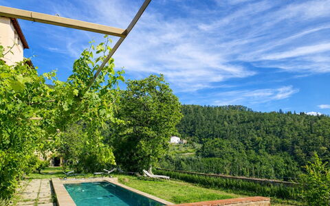 Villa Il Casalino, Florentine Hills with Pool: Hill Station, Eco Hotel, Piscina, Agriturismo, Piantagione, Backyard