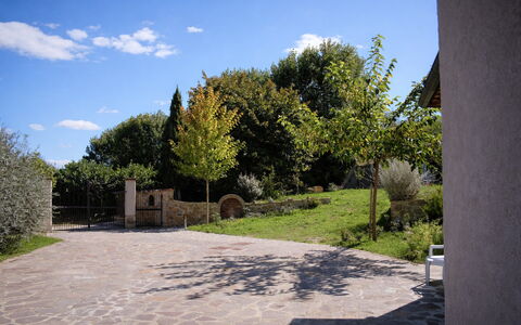Villa Montepulciano Vineyard: Arbusto, Giardino, Flagstone, Shade, Driveway, Landscaping, Passerella, Backyard, Cortile