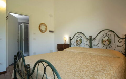 Alloggio:&nbsp;Oliveto