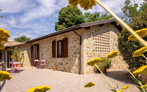 Il Giuncheto Apartments, Pool, Umbrian Countryside: Villetta, Casa, Porta, Casa, Giardino, Agriturismo, Vaso Di Fiori, Estate, Cortile, Backyard
