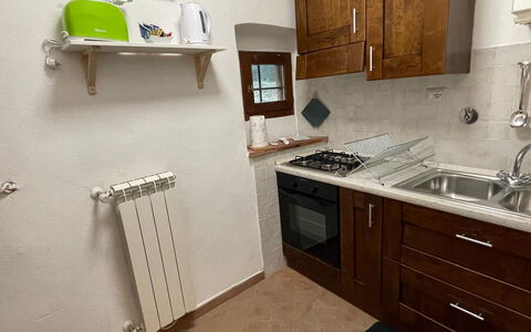 Borgo Antico, Pool, Barberino del Mugello: Kitchen Appliance, Kitchen, Major Appliance, Wood, Flooring, Countertop, Kitchen Stove, Stove, Kitchen Sink, Cabinetry