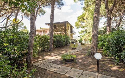 Il Giardino alle Rocchette: Arbusto, Giardino, Estate, Shade, Landscaping, Cortile, Driveway, Villa, Backyard