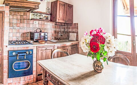 Agriturismo Belvedere delle Crete: Furniture, Kitchen, Countertop, Cabinetry, Chair, Kitchen & Dining Room Table, Dining Room, Wood Stain, Kitchen Appliance, Houseplant