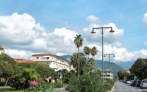 Grande Appartamento: Sky, Tree, Cloud, Thoroughfare, Street Light, Cumulus