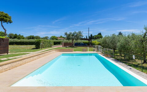 Rose Adriano Home: Blu, Piscina, Materiale Composito, Giardino, Shade, Landscaping, Ricorrere, Hacienda, Giochi D'Acqua, Piastrella