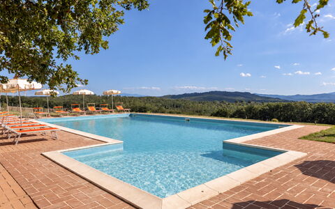 Casa Stella Serena, Casole D'Elsa, Pool: Piscina, Eco Hotel, Ricorrere, Estate, Hacienda, Agriturismo, Villa, Landscaping, Resort Citta ', Hotel