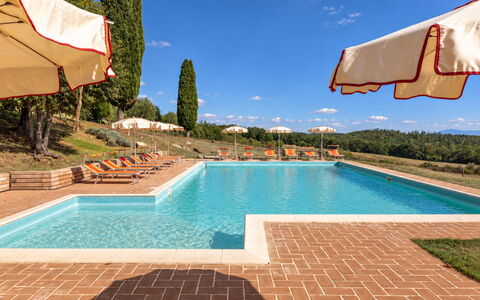 Casa Stella Serena, Casole D'Elsa, Pool: Estate, Hacienda, Landscaping, Villa, Piscina, Piantagione, Agriturismo