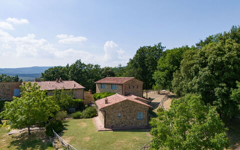 Casa Stella Serena, Casole D'Elsa, Pool: Albero, Area Rurale, Lotto, Villetta, Estate, Ricreazione, Villaggio, Prato, Agriturismo, Parco