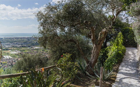 Casa Frantoio di Mommio: Mountainous Landforms, Hill, Mountain, Landscape, Highland, Hill Station, Slope, Mountain Range, Valley, Chaparral