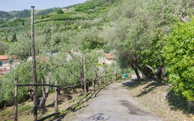 Bella Casina