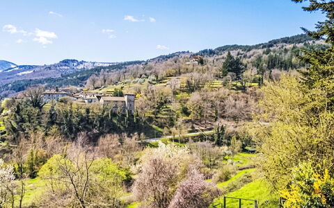 La Casa di Fiore: Geografia Montane, Albero, Montagna, Natura, Foglia, Ambiente Naturale, Verde, Vegetazione, Collina, Paesaggio Naturale