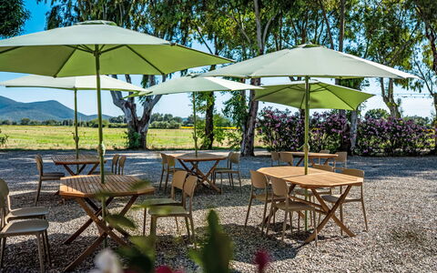Grosseto 830: Mobilia, Ombrello, Mobili Da Esterno, Tavolo Esterno, Tavolo, Shade, Sedia, Giardino, Cucina & Sala Da Pranzo Tavolo, Prato