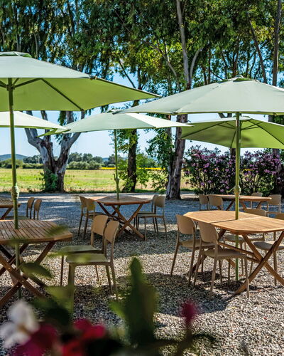 Grosseto 830: Furniture, Umbrella, Outdoor Furniture, Outdoor Table, Table, Shade, Chair, Garden, Kitchen & Dining Room Table, Lawn
