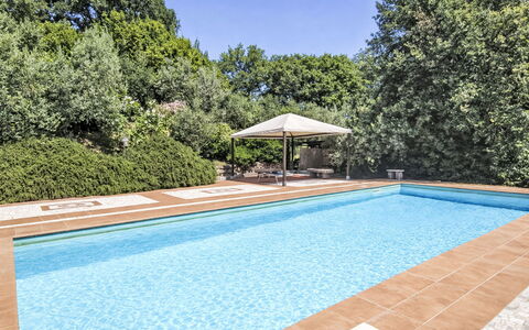 Le More: Mobilia, Interior Design, Parete, Pavimentazione, Legna, Pavimento, Camera, Soffitto, Illuminazione, Casa