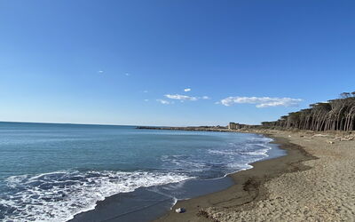 Cecina 570