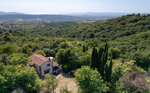 Cuculo: Tree, Nature, Natural Environment, Leaf, Vegetation, Landscape, Rural Area, Hill, Highland, Shrub