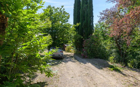 Cuculo: Leaf, Vegetation, Shrub, Trail, Garden, Woody Plant, Evergreen, Landscaping