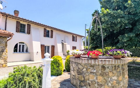 Scarlino 35: Garden, Hacienda, Landscaping, Yard, Shade, Flowerpot, Houseplant, Courtyard, Flagstone, Driveway