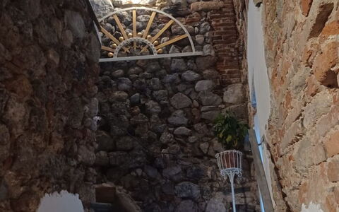 Nido nel Centro: Wall, Stairs, Stone Wall, Handrail, Houseplant, Balcony, Baluster, Flowerpot