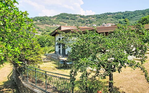 La Casa di Menny: Mobilia, Mobili Da Esterno, Sedia, Giardino, Color Legno, Prato, Latifoglie, Shade, Backyard