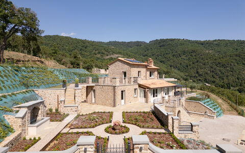 Villa Maddalena alla Guglielmesca: Area Rurale, Estate, Villetta, Giardino, Landscaping, Villaggio, Villa, Agriturismo, Hacienda, Dimora