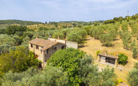 Casale delle Lupe, Campiglia Marittima: Erba, Albero, Arbusto, Area Rurale, Comunita 'Impianto, Lotto, Estate, Villetta, Villaggio