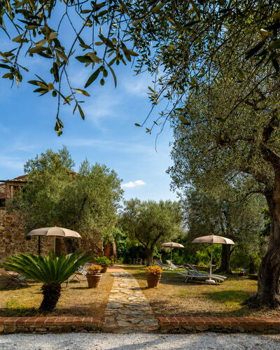 Casale delle Lupe, Campiglia Marittima: Garden, Estate, Hacienda, Landscaping, Farmhouse, Yard, Villa, Shade, Backyard, Driveway