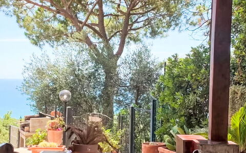 Deborah: Casa, Arbusto, Casa, Zona Residenziale, Estate, Villetta, Hacienda, Cortile, Shade, Prato