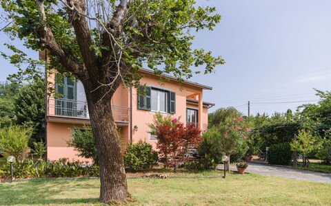 Gli Oleandri di Grazia