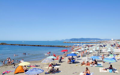 Marina di Massa 651