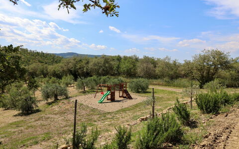 La Calcinaia Country Villa, Bucine: Albero, Vegetazione, Paesaggio, Comunita 'Impianto, Area Rurale, Lotto, Plain, Suolo, Shrubland, Pascolo