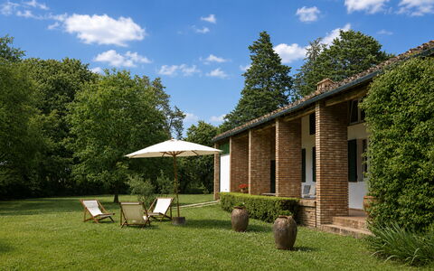 Casa Mancini, Holiday Villa, San Galgano: Grass, Shrub, Home, House, Garden, Lawn, Cottage, Land Lot, Estate, Farmhouse